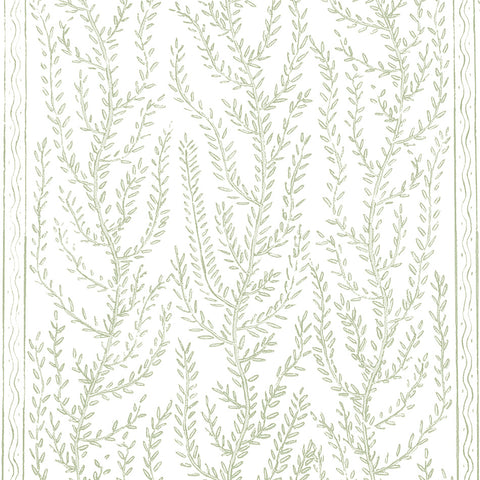 Aphrodite | Verde - Hand Printed Wallpaper