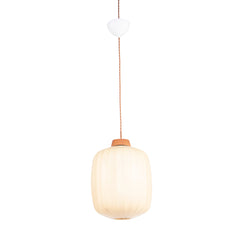 #1288 Ceiling Lamp with Acrylic Shade by Hans Bergstrom